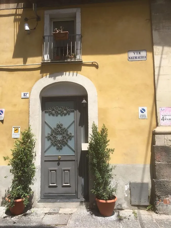 Normanno Palace Historical Center Catania contacts